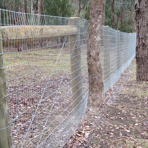 Stock-Fencing-Diamond-Creek